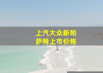 上汽大众新帕萨特上市价格