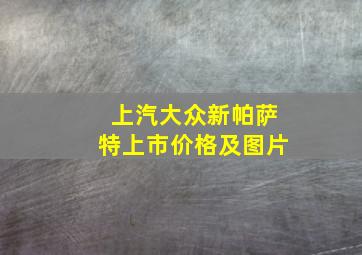 上汽大众新帕萨特上市价格及图片