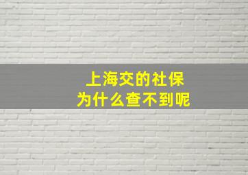 上海交的社保为什么查不到呢