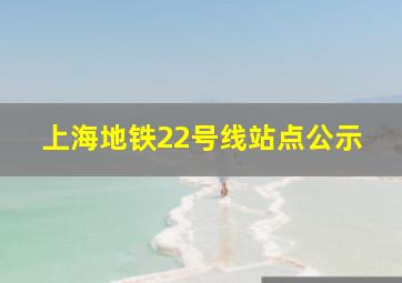 上海地铁22号线站点公示