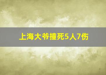 上海大爷撞死5人7伤