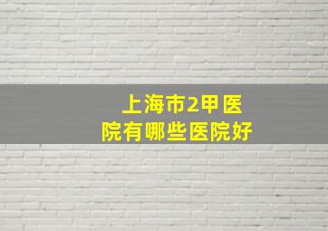 上海市2甲医院有哪些医院好