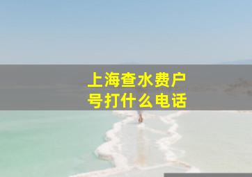 上海查水费户号打什么电话