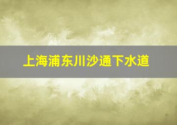 上海浦东川沙通下水道