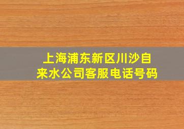 上海浦东新区川沙自来水公司客服电话号码