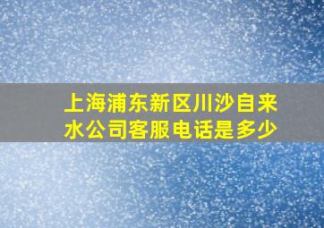 上海浦东新区川沙自来水公司客服电话是多少