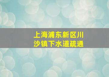 上海浦东新区川沙镇下水道疏通