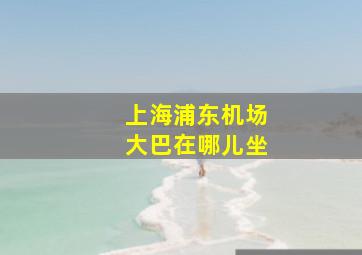 上海浦东机场大巴在哪儿坐