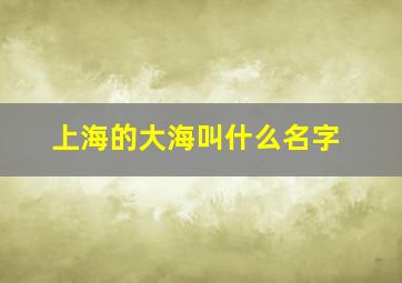 上海的大海叫什么名字