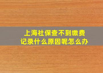 上海社保查不到缴费记录什么原因呢怎么办