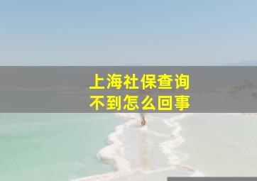 上海社保查询不到怎么回事