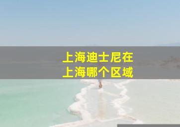 上海迪士尼在上海哪个区域