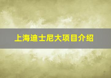 上海迪士尼大项目介绍