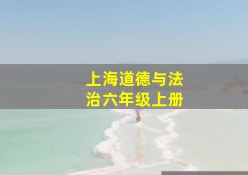 上海道德与法治六年级上册