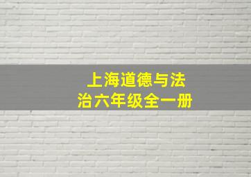 上海道德与法治六年级全一册