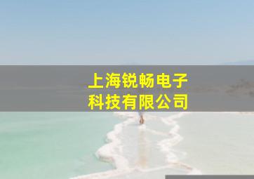 上海锐畅电子科技有限公司