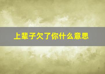 上辈子欠了你什么意思