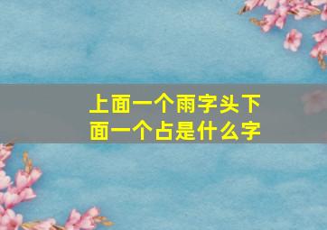 上面一个雨字头下面一个占是什么字