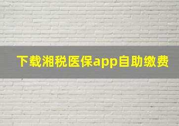 下载湘税医保app自助缴费