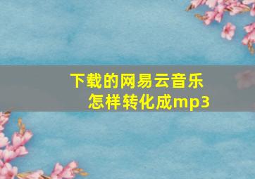 下载的网易云音乐怎样转化成mp3