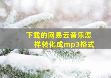 下载的网易云音乐怎样转化成mp3格式