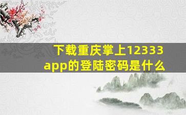 下载重庆掌上12333app的登陆密码是什么