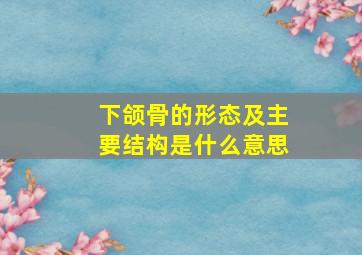 下颌骨的形态及主要结构是什么意思