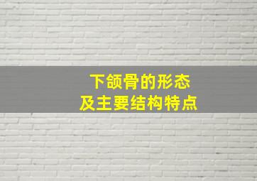 下颌骨的形态及主要结构特点