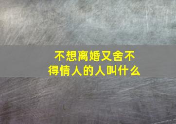 不想离婚又舍不得情人的人叫什么