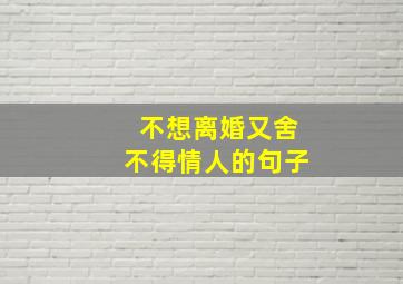 不想离婚又舍不得情人的句子