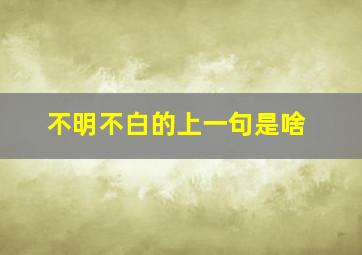 不明不白的上一句是啥