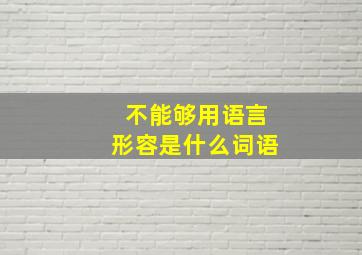 不能够用语言形容是什么词语