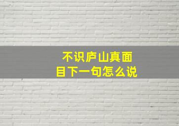 不识庐山真面目下一句怎么说