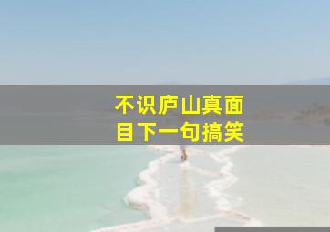 不识庐山真面目下一句搞笑