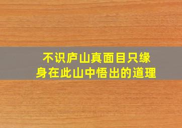 不识庐山真面目只缘身在此山中悟出的道理