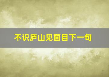 不识庐山见面目下一句