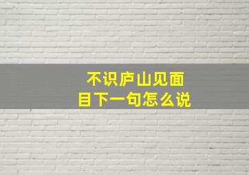 不识庐山见面目下一句怎么说