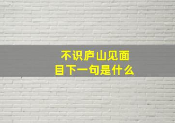 不识庐山见面目下一句是什么