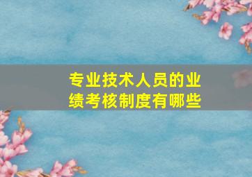 专业技术人员的业绩考核制度有哪些