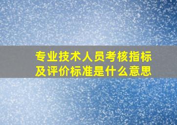 专业技术人员考核指标及评价标准是什么意思