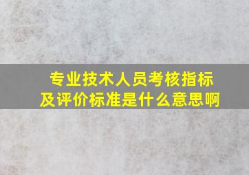 专业技术人员考核指标及评价标准是什么意思啊