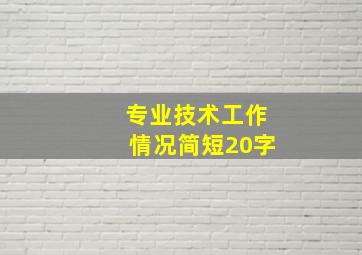 专业技术工作情况简短20字