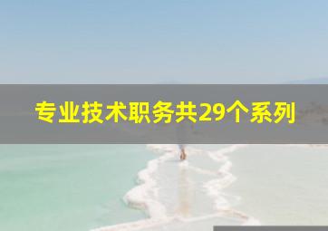 专业技术职务共29个系列