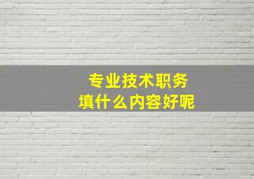 专业技术职务填什么内容好呢