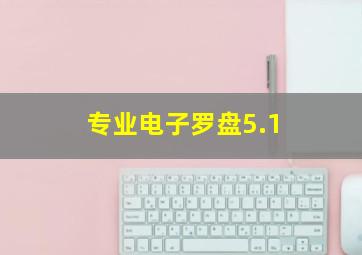 专业电子罗盘5.1