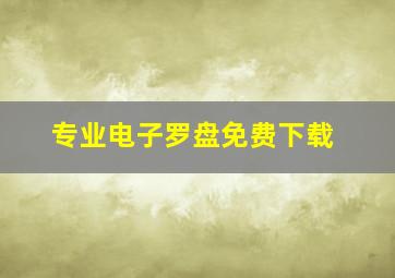 专业电子罗盘免费下载