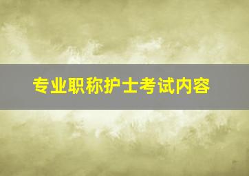 专业职称护士考试内容