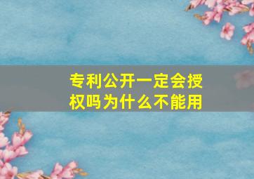 专利公开一定会授权吗为什么不能用