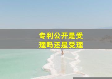 专利公开是受理吗还是受理