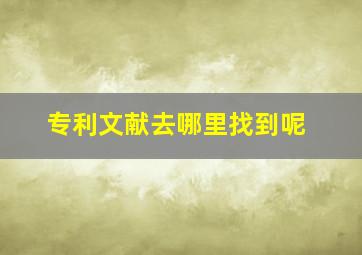 专利文献去哪里找到呢